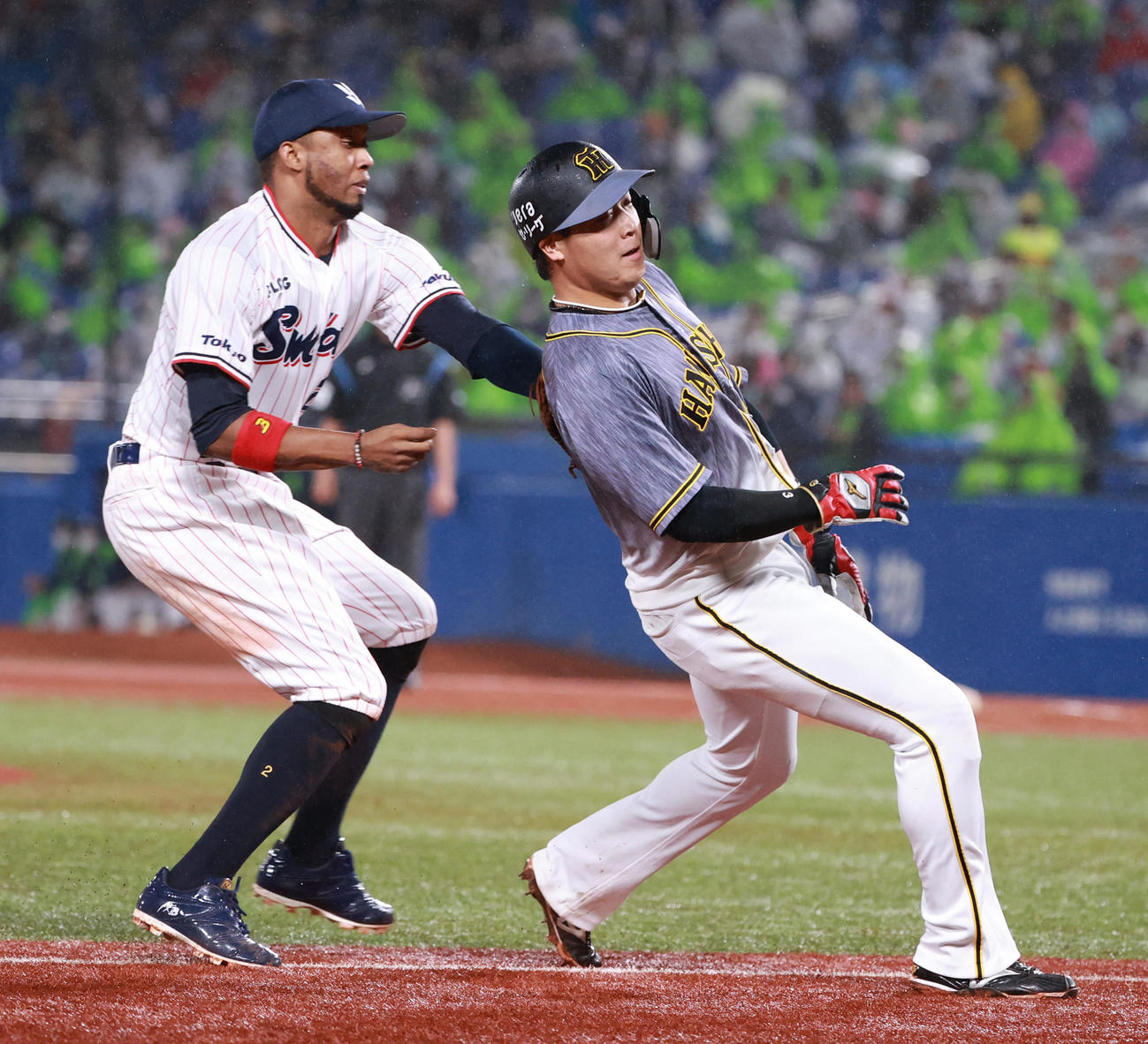 ヤクルト対阪神　6回表阪神無死二、三塁、坂本誠志郎のスクイズ失敗で三走大山悠輔が飛び出しアウトとなる（撮影・清水貴仁）