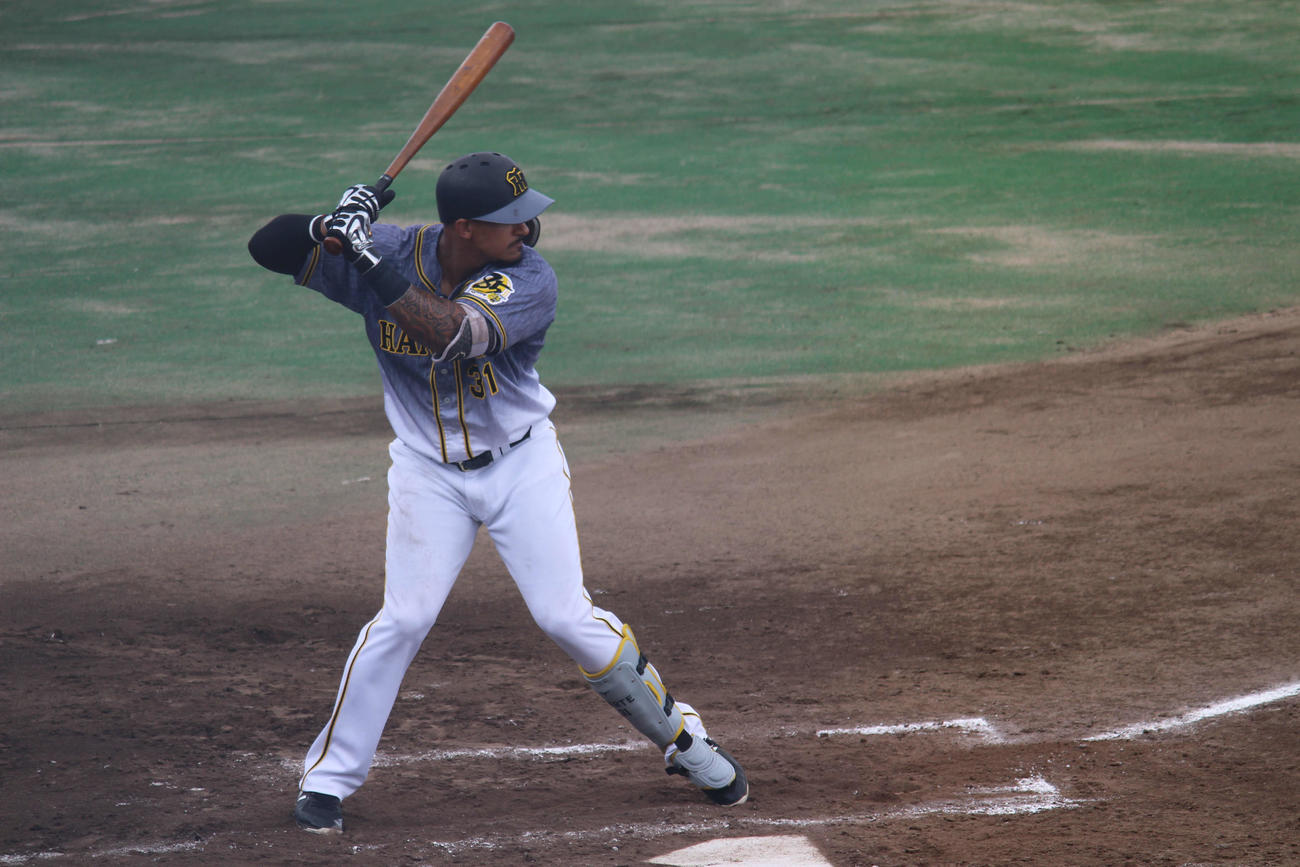 阪神マルテは26日、ウエスタン・リーグ中日戦に5番一塁で先発（撮影・佐井陽介）