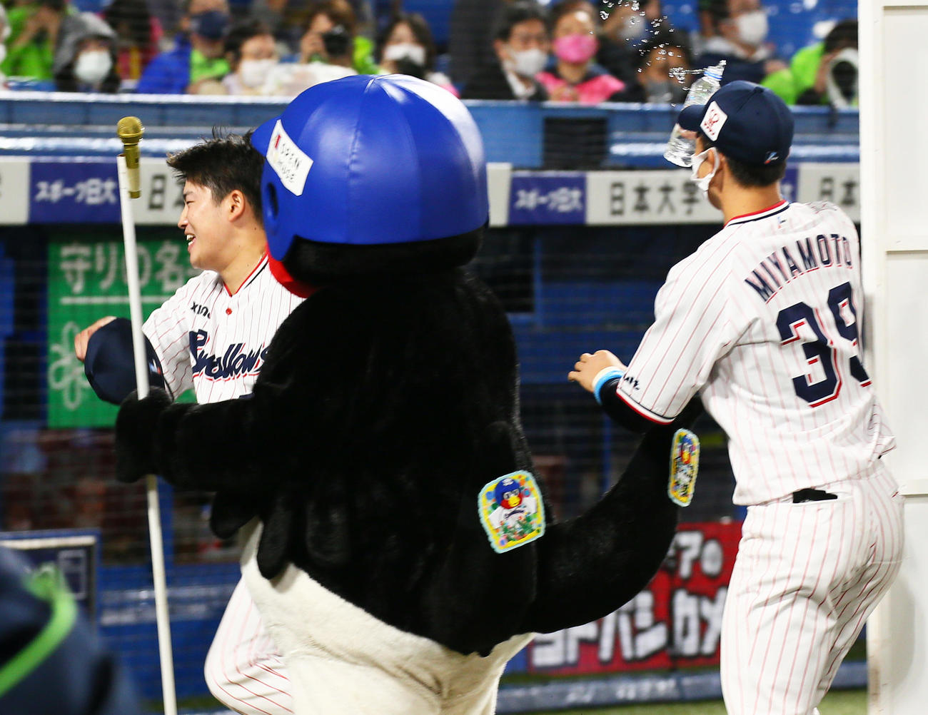 ヤクルト対阪神　ヤクルト宮本（右）のウオーターシャワーから必死に逃げるヤクルト村上（撮影・足立雅史）