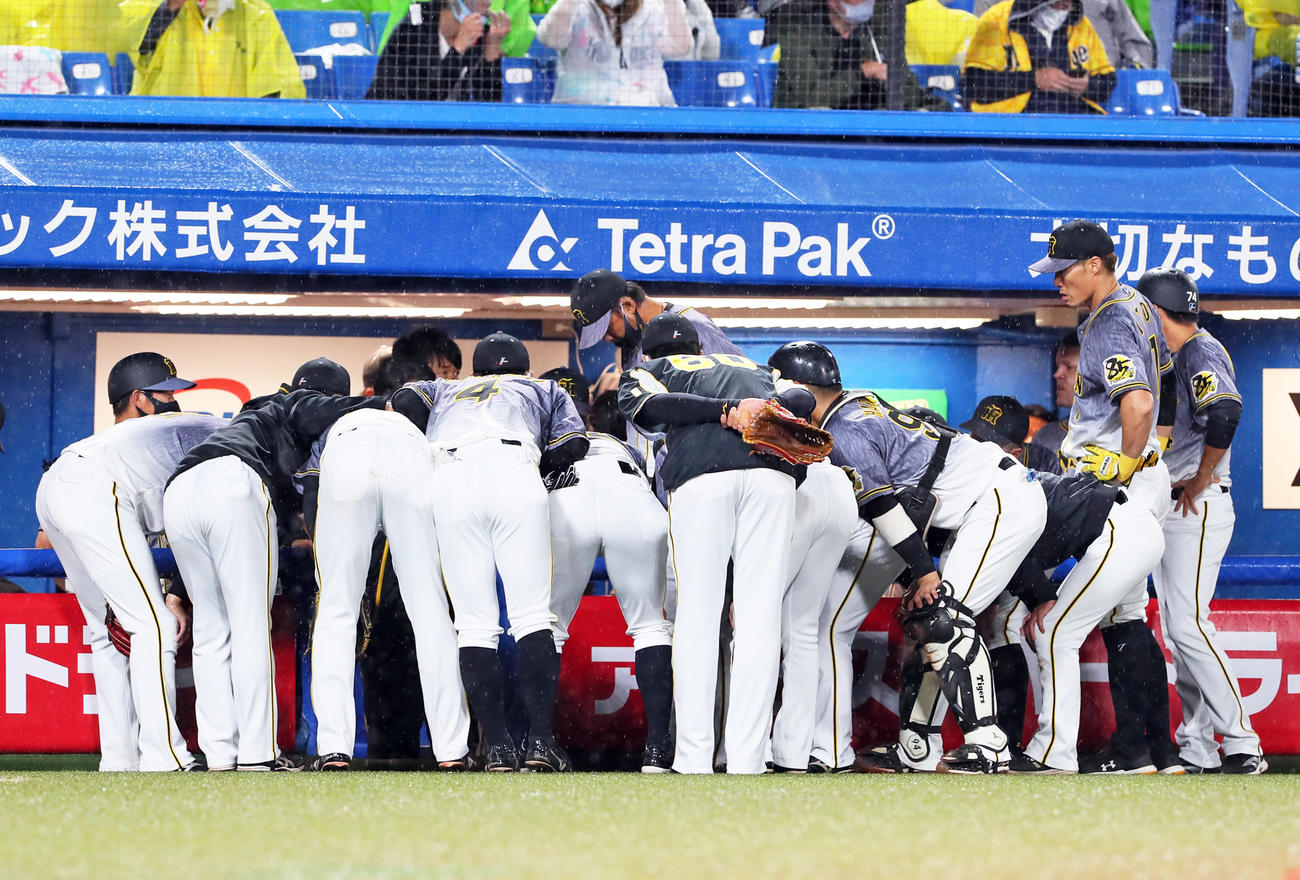 ヤクルト対阪神　4回表攻撃前、円陣を組む阪神ナイン（撮影・足立雅史）