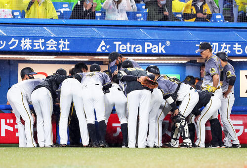ヤクルト対阪神　4回表攻撃前、円陣を組む阪神ナイン（撮影・足立雅史）