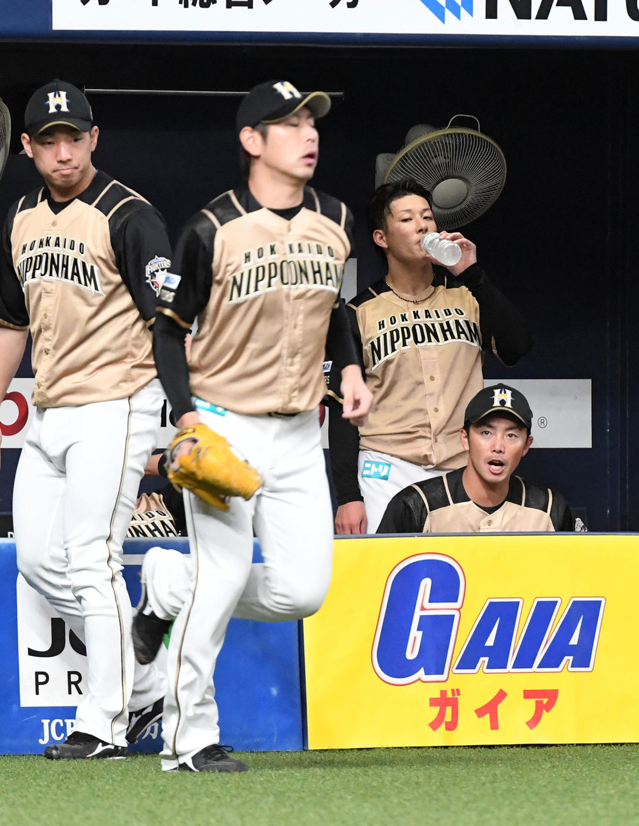 2回裏オリックス1死三塁、加藤と交代、ベンチで水分を補給する吉田輝星（撮影・前岡正明）