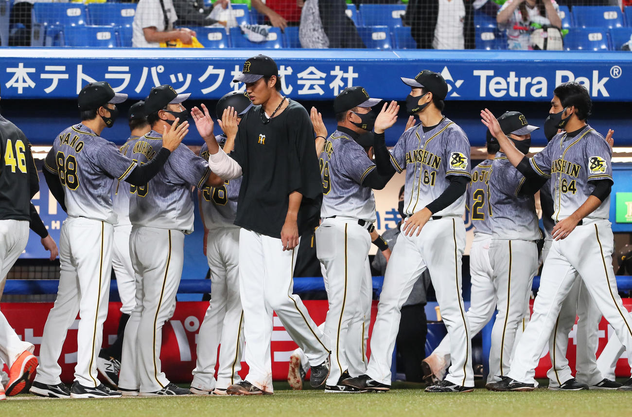 ヤクルト対阪神　勝利しタッチを交わす阪神矢野監督（左端）、藤浪（同3人目）らナイン（撮影・足立雅史）