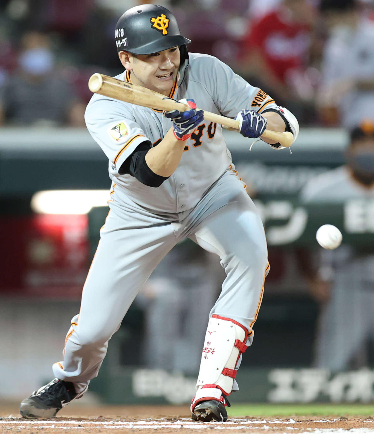 広島対巨人　3回表巨人無死一塁、送りバントを決める菅野（撮影・河野匠）