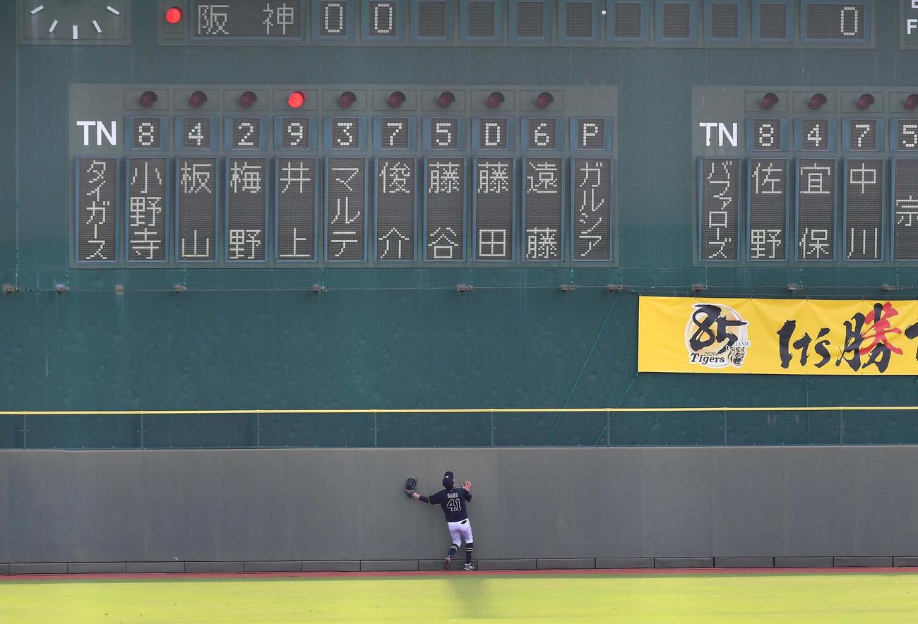 ウエスタン・リーグ　阪神対オリックス　3回裏阪神2死二塁、バックスクリーン上へ突き刺さる井上の同点2点本塁打（撮影・上田博志）