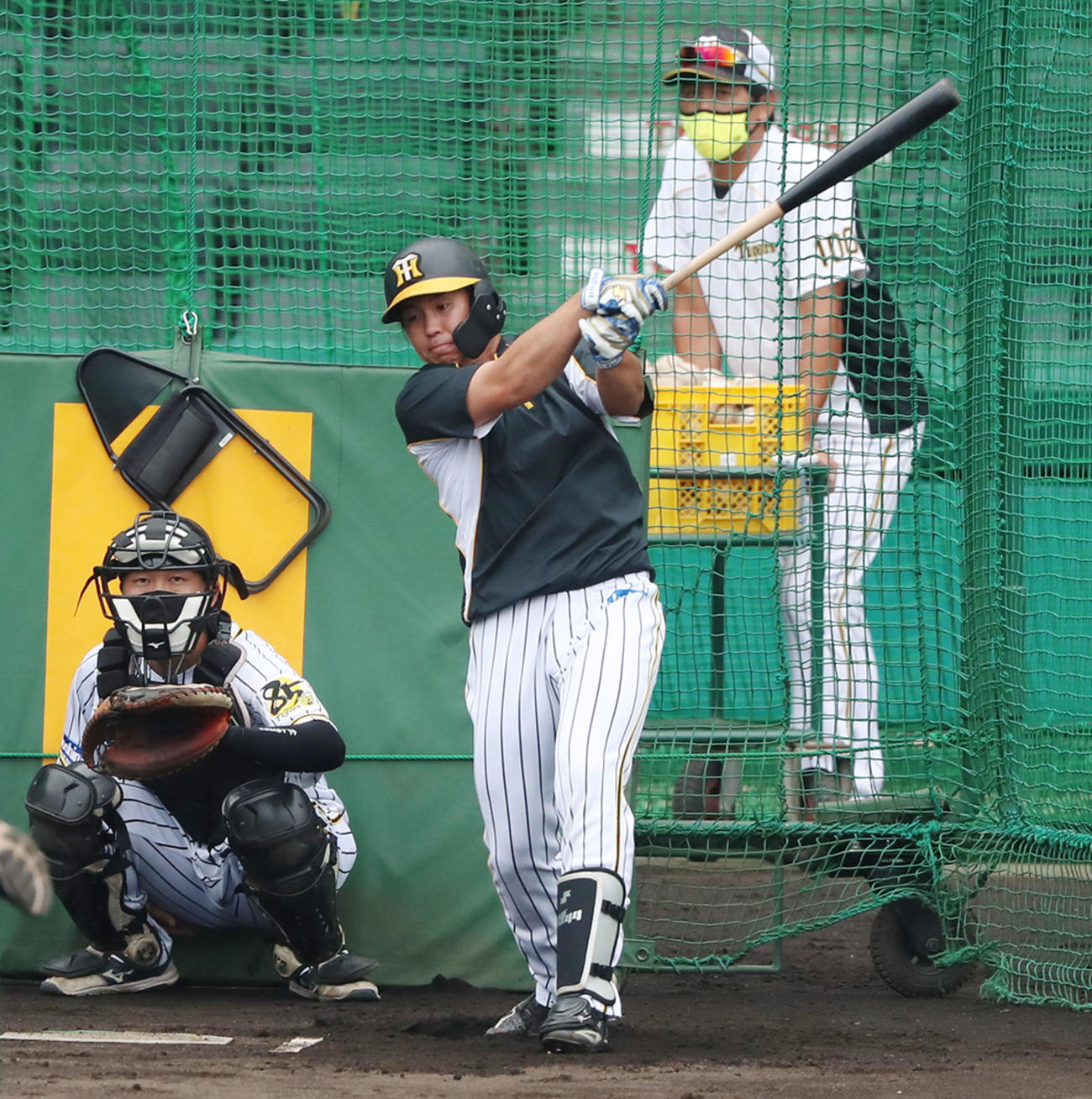 阪神対中日　1軍に合流し打撃練習する梅野（撮影・加藤哉）