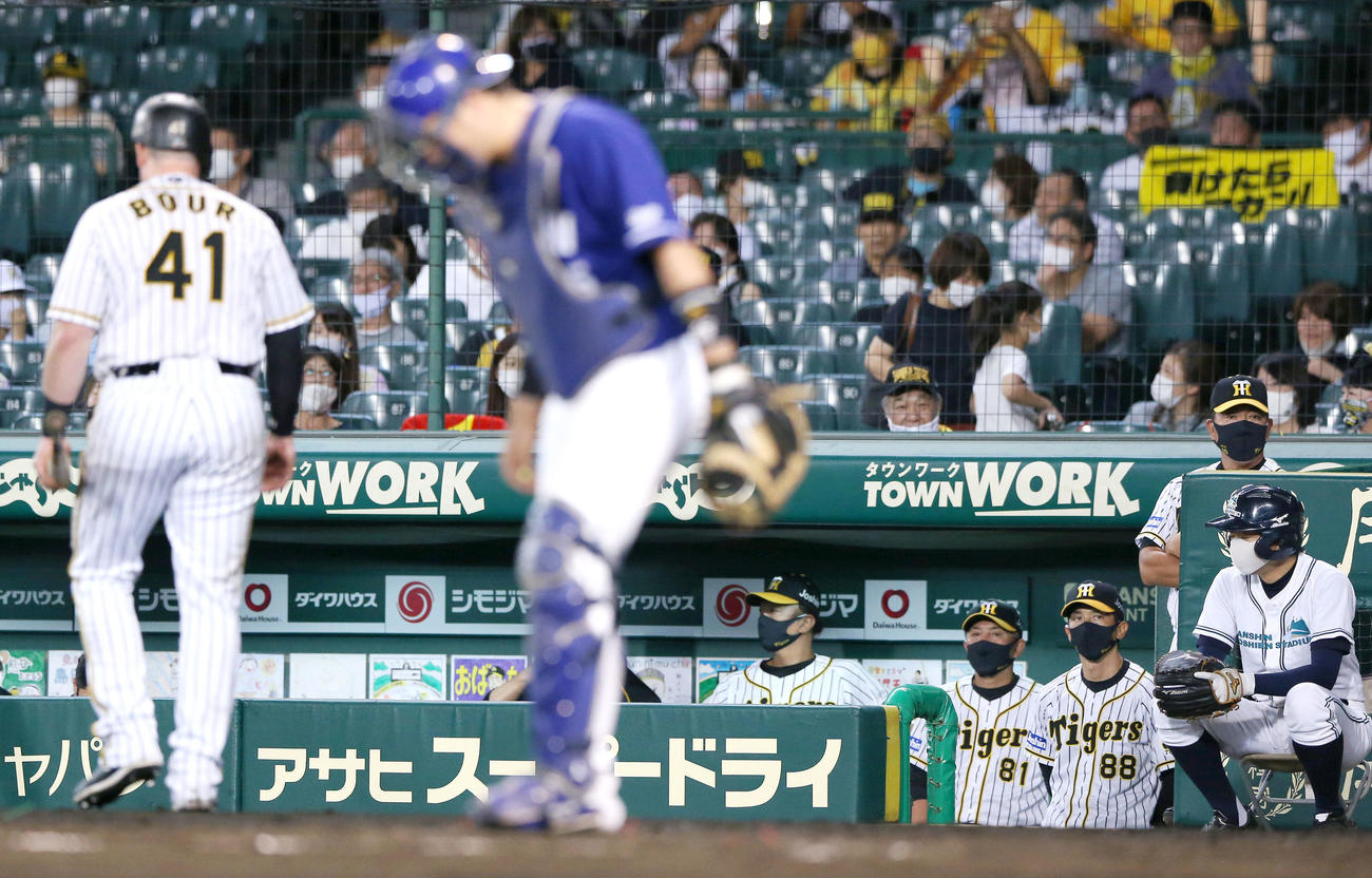 阪神対中日　8回裏阪神1死、グラウンドを見つめる矢野監督（右から3人目）、左は空振り三振に終わったボーア（撮影・上山淳一）