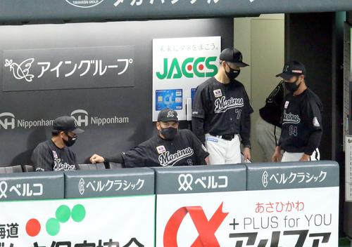 日本ハム対ロッテ　ベンチで険しい表情のロッテ井口監督（中央）（撮影・佐藤翔太）