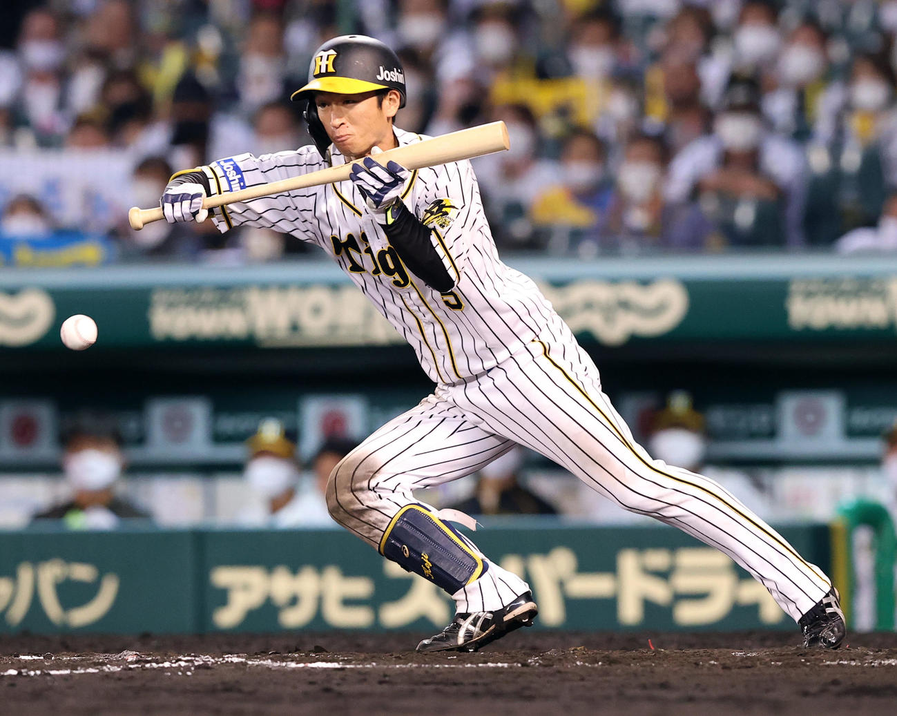 阪神対巨人　8回裏阪神1死二塁、バントで相手失策を誘う内野安打を放つ近本（撮影・垰建太）