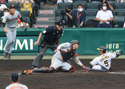 阪神対巨人　5回裏阪神2死一塁、北條の左二塁打で一走近本（右）がホームを狙うがタッチアウト（撮影・上山淳一）