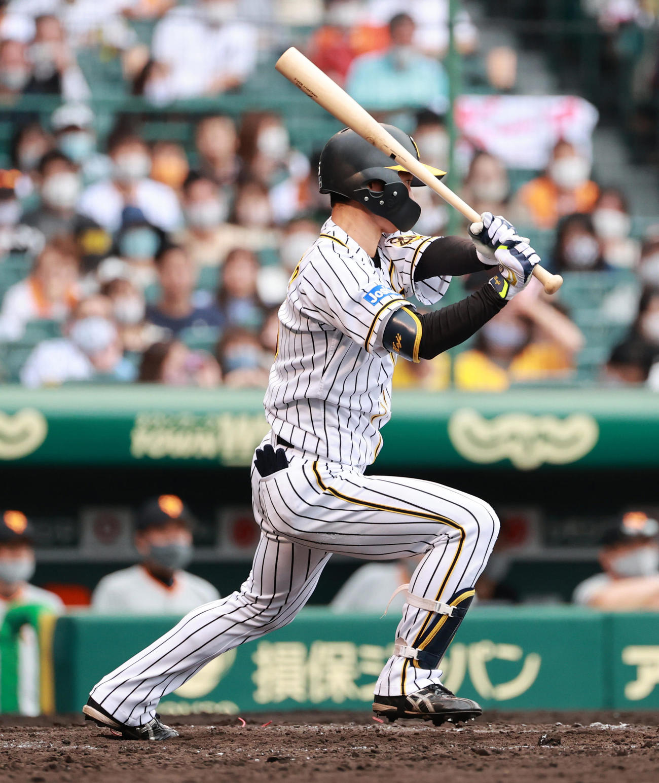阪神対巨人　5回裏阪神2死、左前打を放つ近本光司（撮影・清水貴仁）