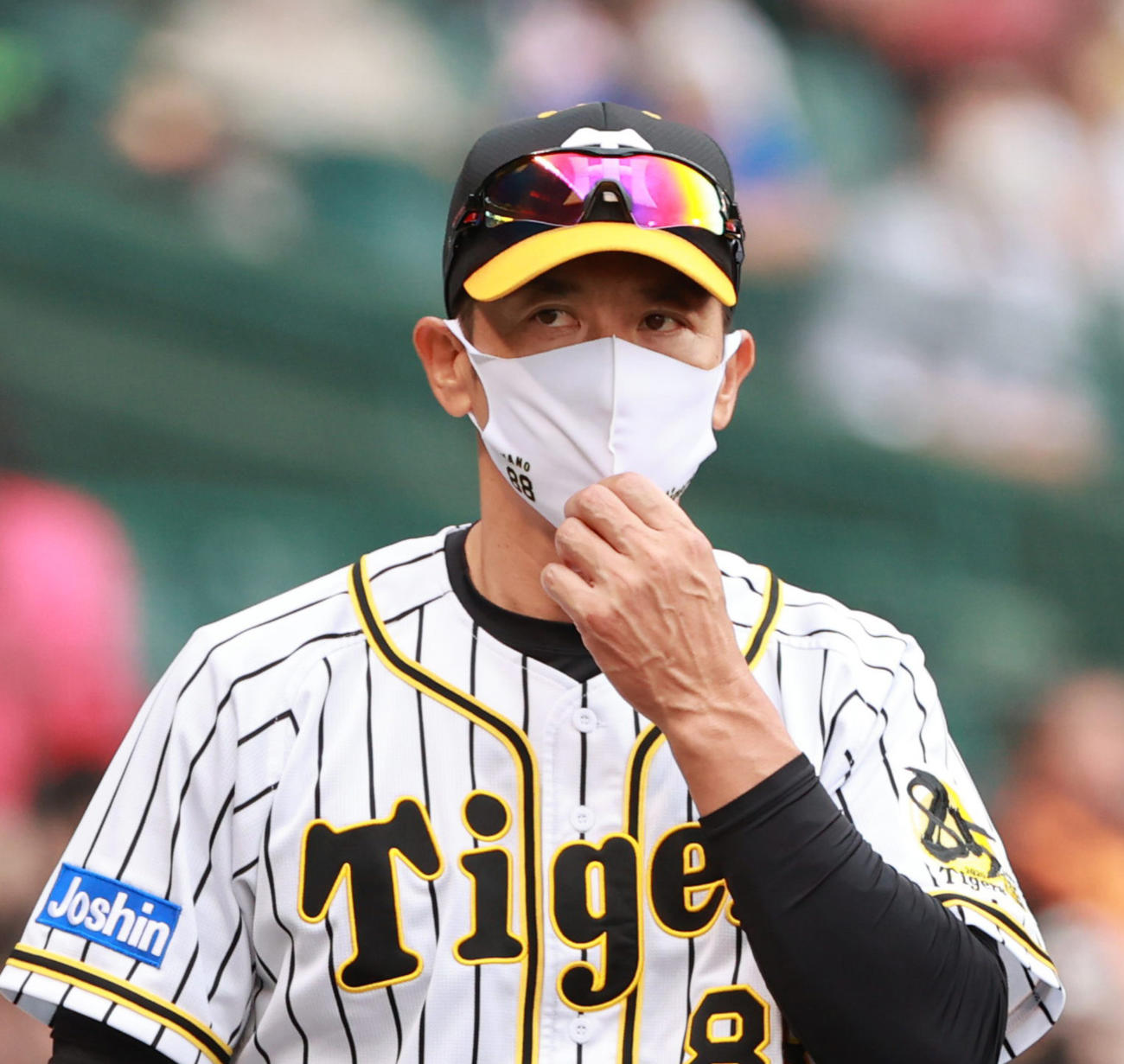 阪神対巨人　7回表巨人、選手交代を告げる矢野耀大監督（撮影・清水貴仁）