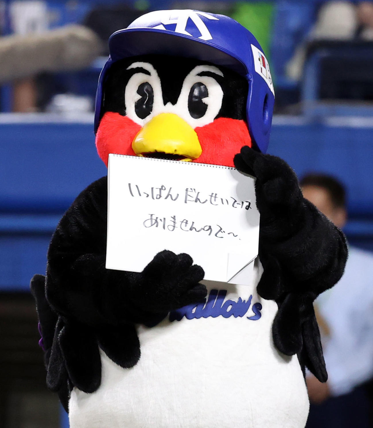 ヤクルト対広島　今日のひと言で「いっぱんだんせいではありませんので～」とフリップを見せるつば九郎（撮影・狩俣裕三）