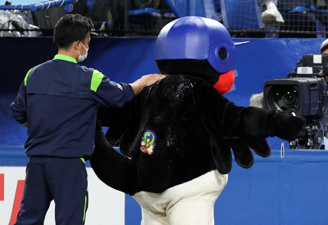 ヤクルト対広島　江村広報（左）に塩を塗ってもらうつば九郎（撮影・狩俣裕三）