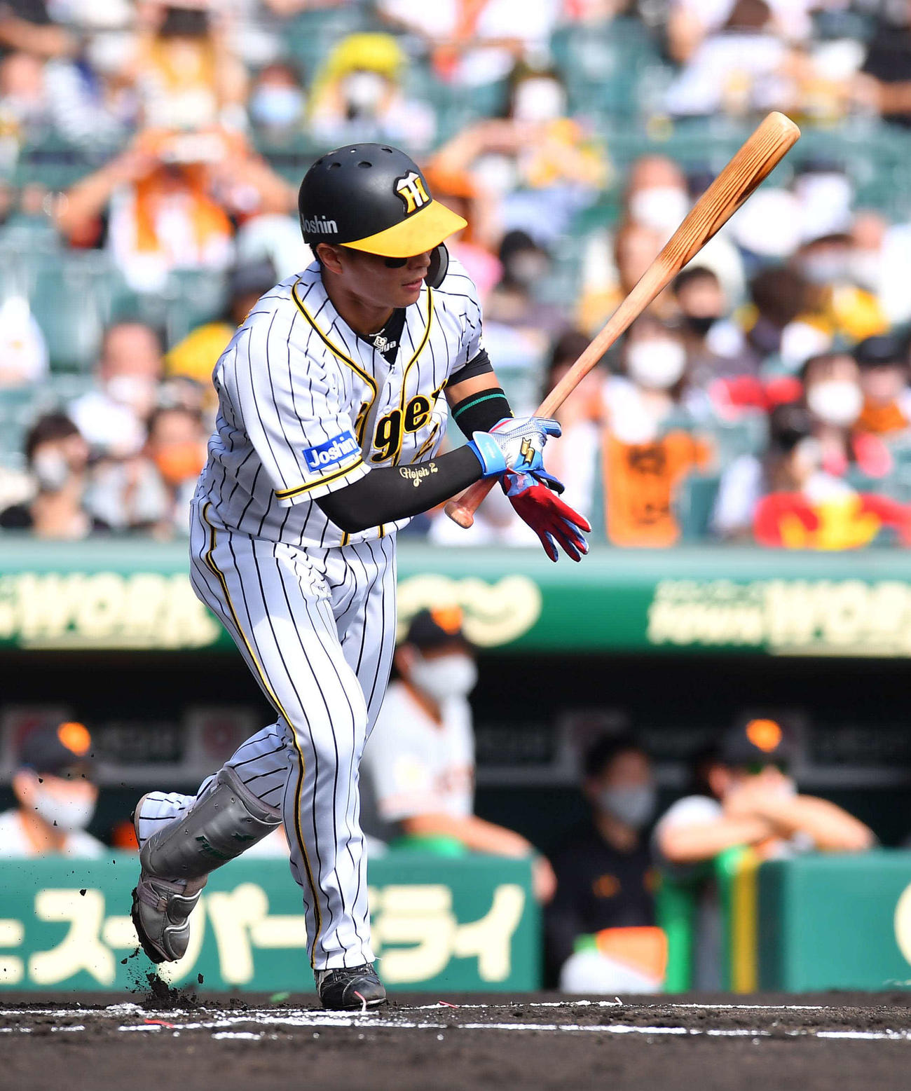 阪神対巨人　1回裏阪神1死、中前安打を放つ北條史也（撮影・上田博志）