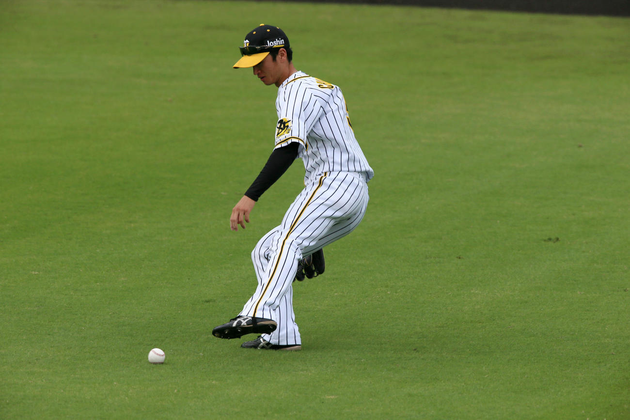 阪神対巨人　3回表巨人2死二塁、中堅手近本は松原の中前の打球をファンブル（撮影・上山淳一）