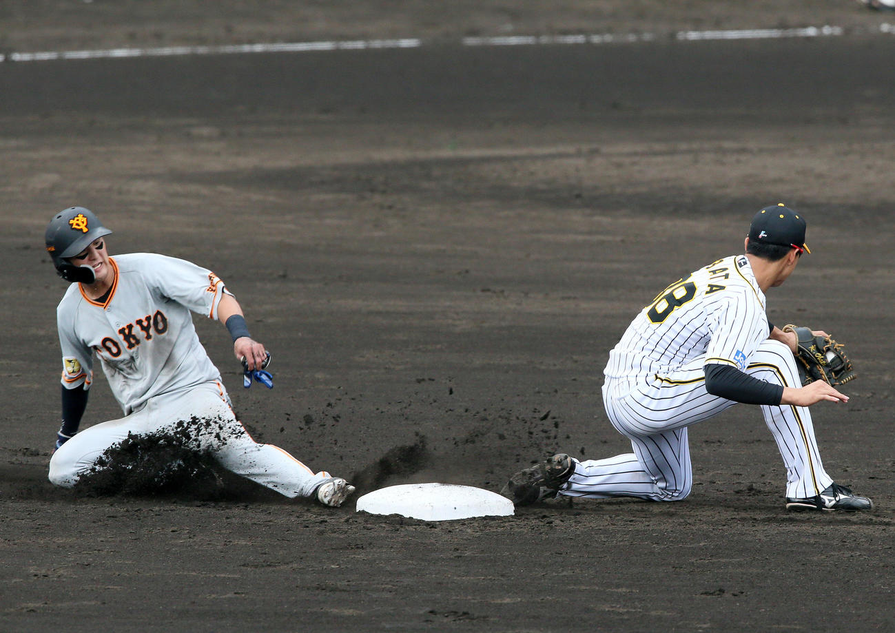 阪神対巨人　3回表巨人2死一塁、打者松原の時、吉川尚は二盗を決める、右は遊撃手小幡竜平（撮影・上山淳一）