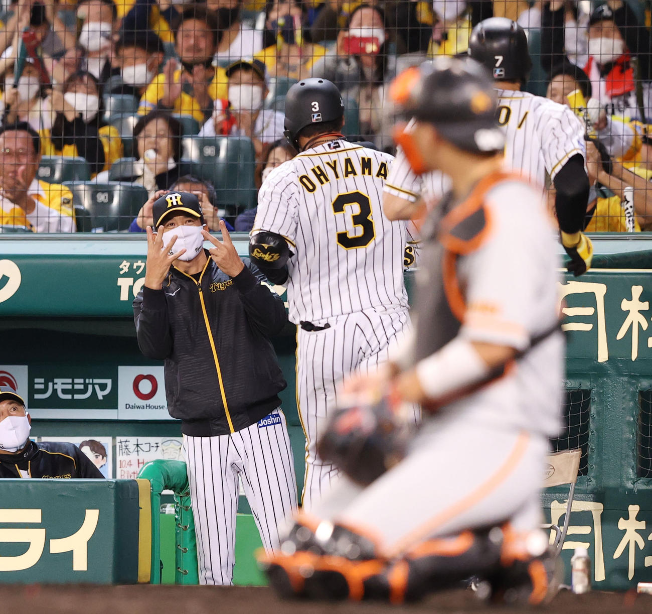 阪神対巨人　5回裏阪神2死一塁、勝ち越しの中越え2点本塁打を放った大山（3番）を「24」の指を立て出迎える矢野監督（撮影・垰建太）