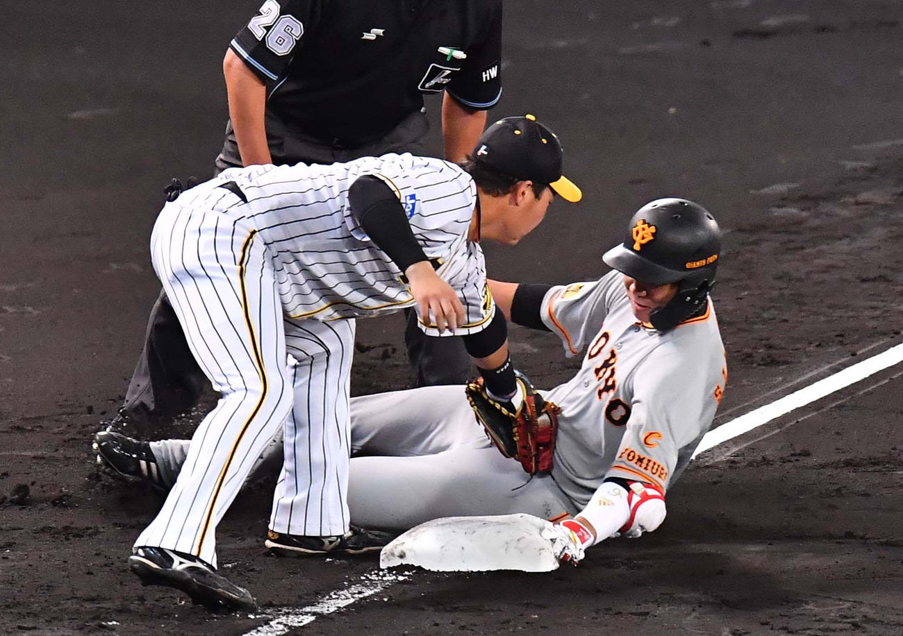 阪神対巨人　4回表巨人1死一塁、坂本勇人は本塁への送球間に三塁を狙うも憤死する。三塁手は大山悠輔（撮影・上田博志）