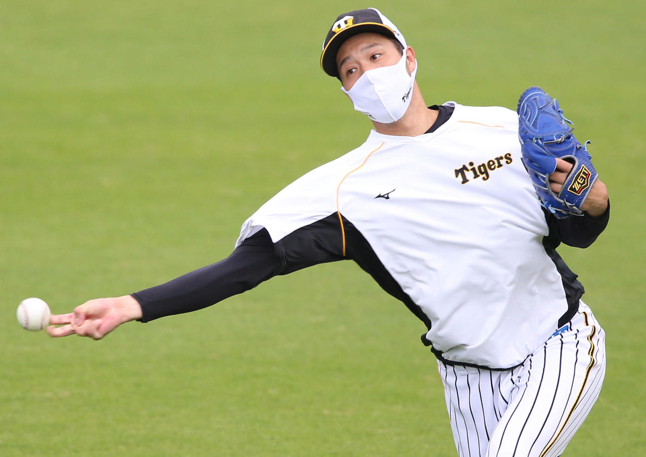 試合前の練習でキャッチボールする青柳（撮影・上山淳一）