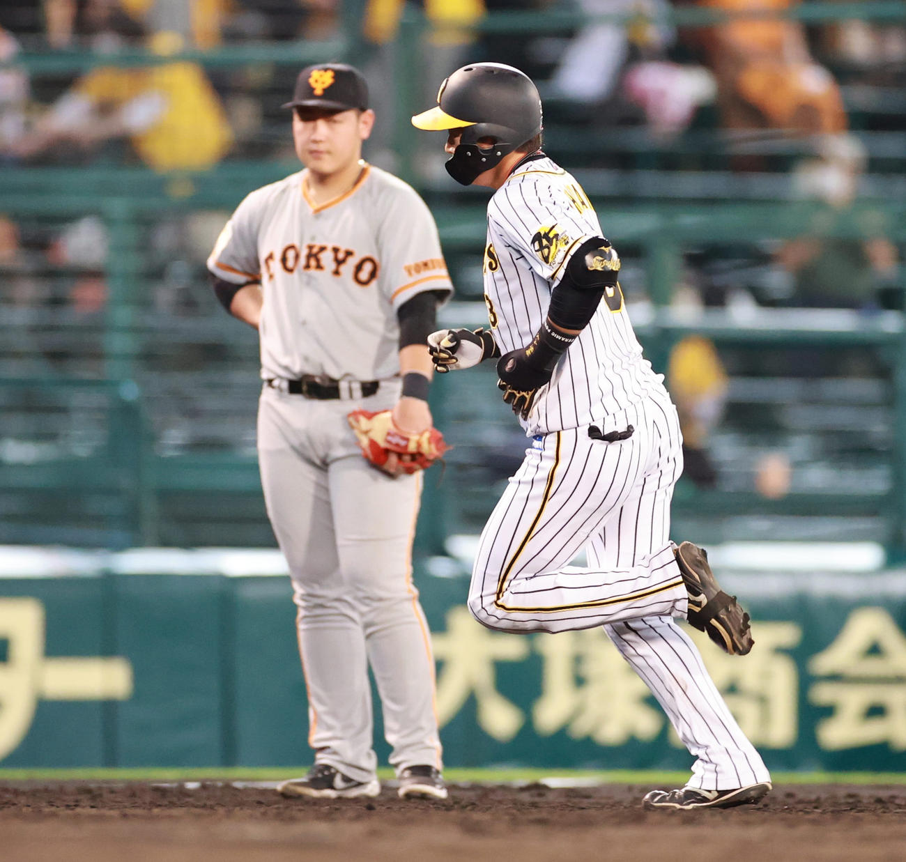 阪神対巨人　5回裏阪神2死一塁、中越えの24号2点本塁打を放った大山（右）は、三塁手岡本が見つめる前で塁を回る（撮影・清水貴仁）