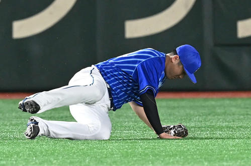 巨人対DeNA　5回裏巨人1死二塁、佐野は吉川尚の左飛をスライディングキャッチ（撮影・山崎安昭）