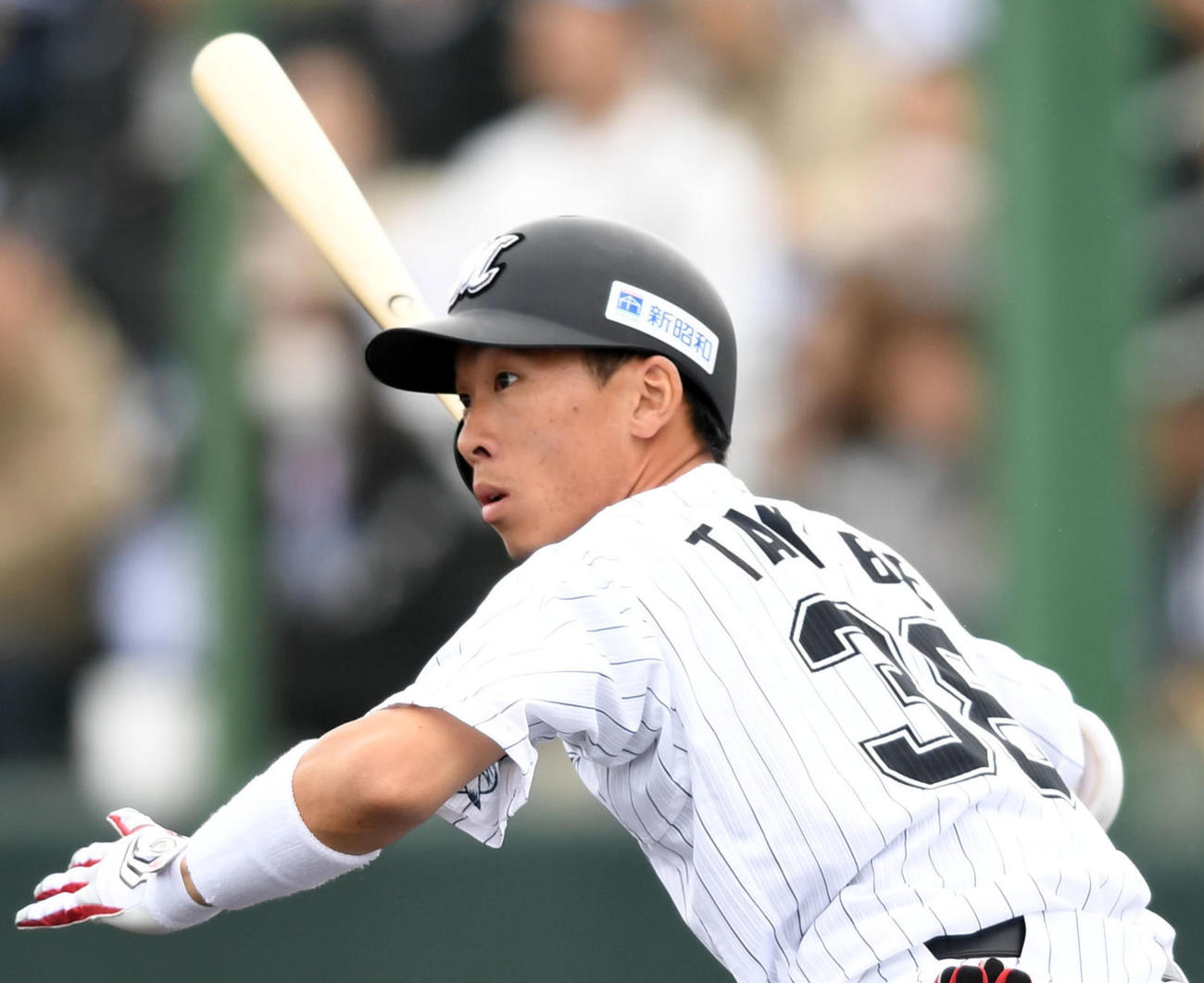 ロッテ高部（20年2月8日撮影）