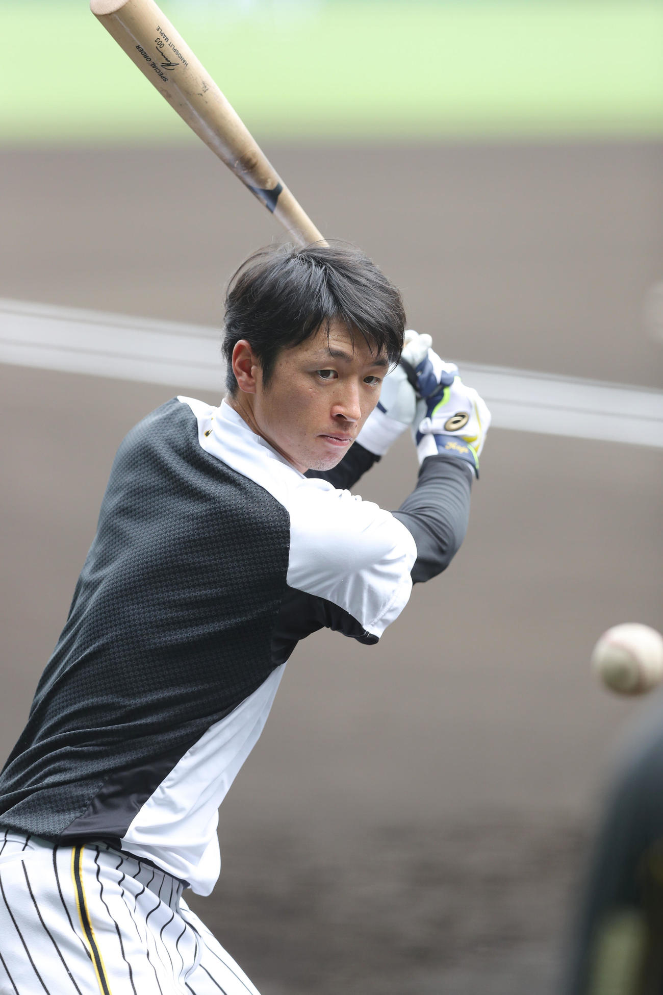 阪神対中日　試合前練習を行う阪神近本光司（撮影・前田充）