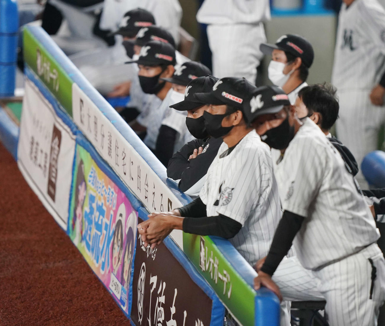 ロッテ対オリックス　腕を組みながら試合を見るロッテ井口監督（中央）（撮影・鈴木みどり）