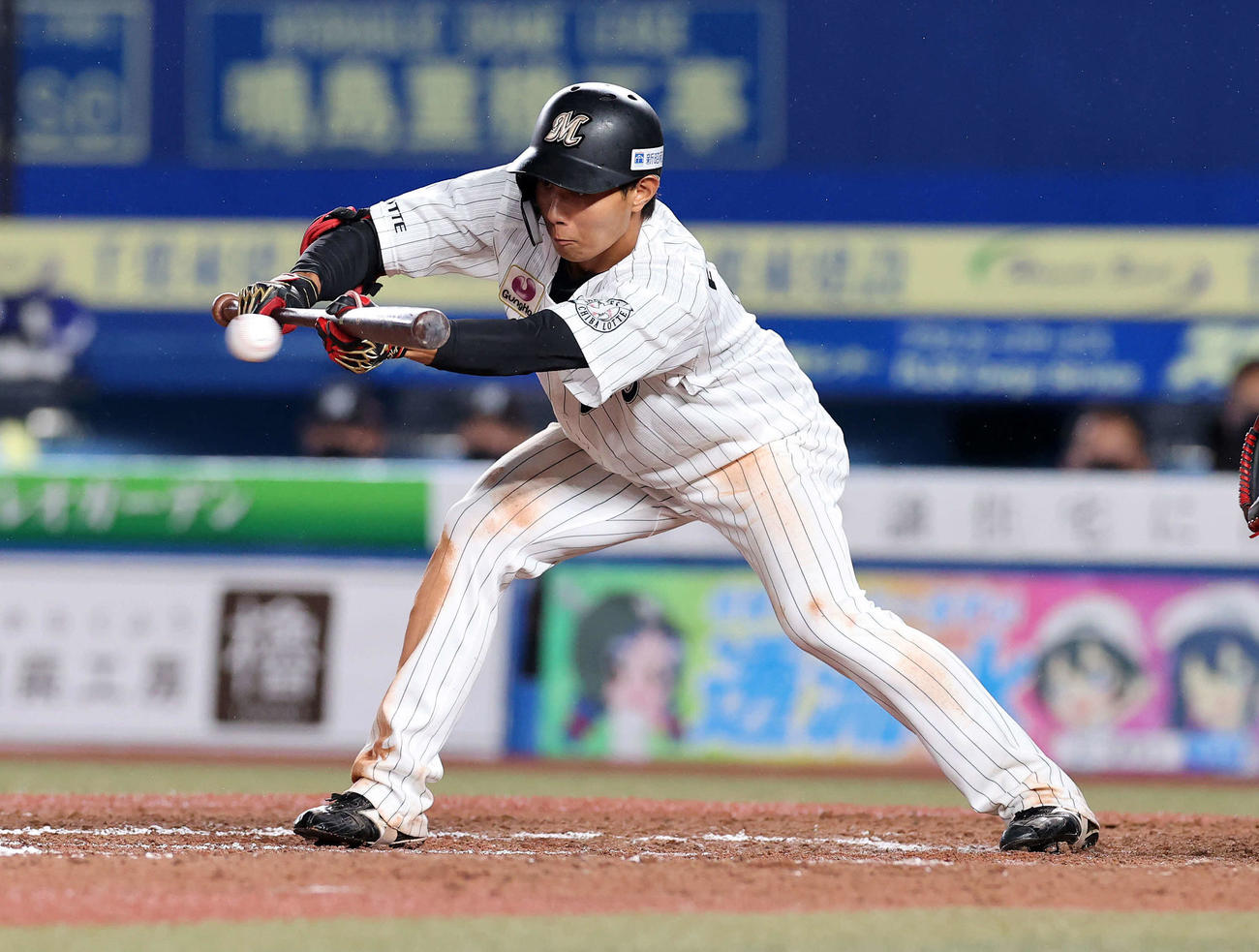 ロッテ対オリックス　7回裏ロッテ無死一、二塁、藤原は犠打を決める（撮影・鈴木正人）