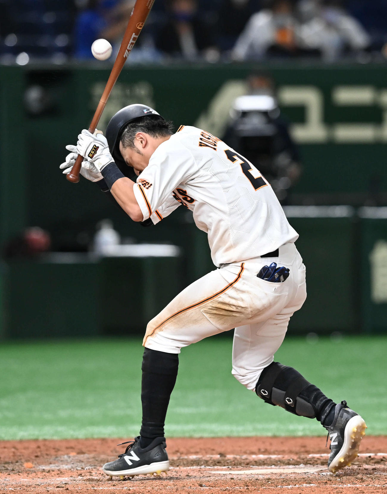 巨人対DeNA　4回裏巨人無死、吉川尚は頭部に死球を受ける（撮影・山崎安昭）