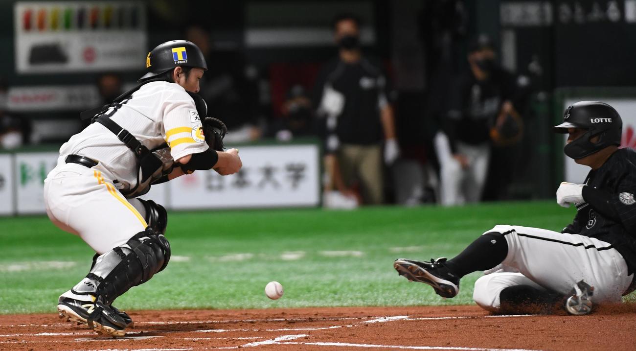 ソフトバンク対ロッテ　1回表ロッテ無死満塁、井上晴哉の三塁ゴロを松田宣浩から捕手甲斐拓也には渡るも落球する（撮影・今浪浩三）