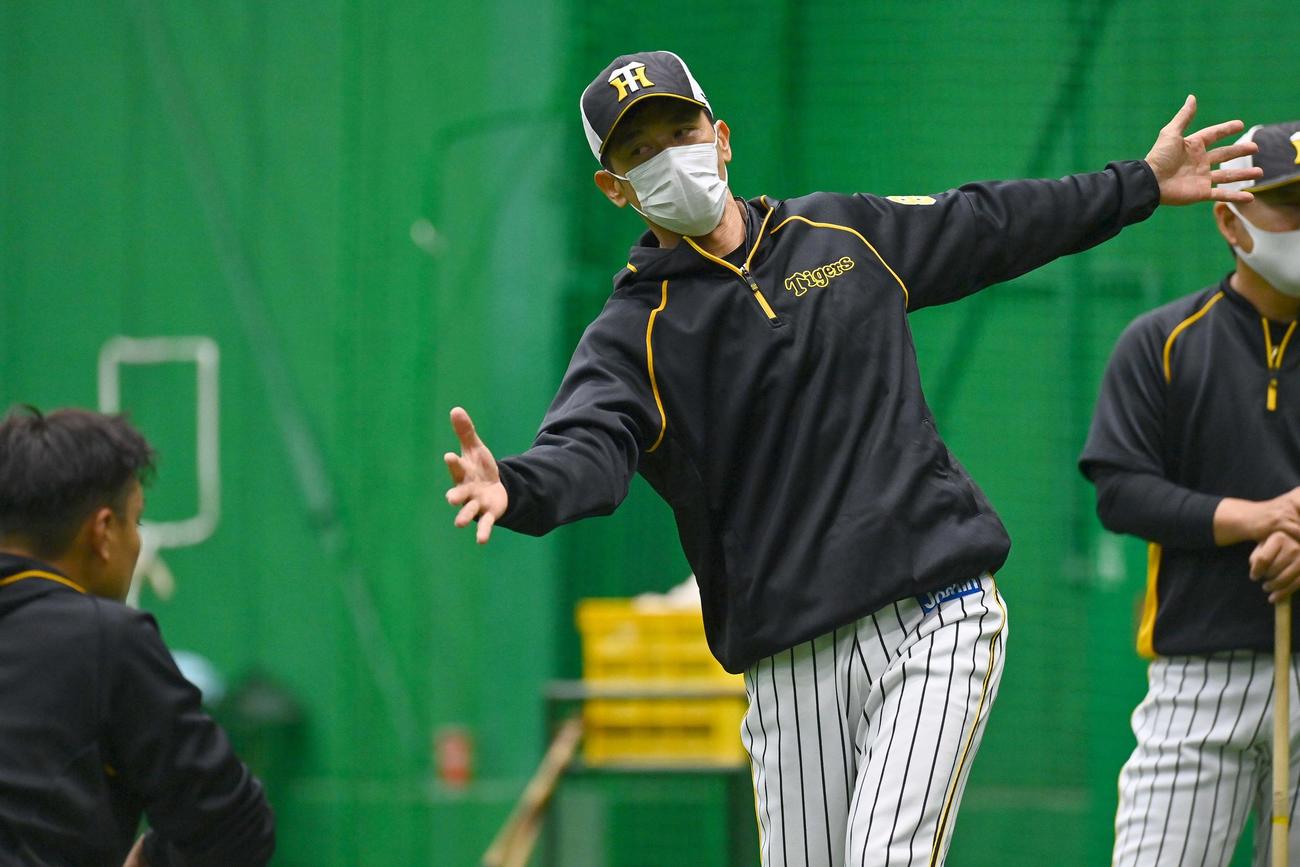 身振りを交えながら秋山（左）と話す阪神矢野監督（撮影・上田博志）