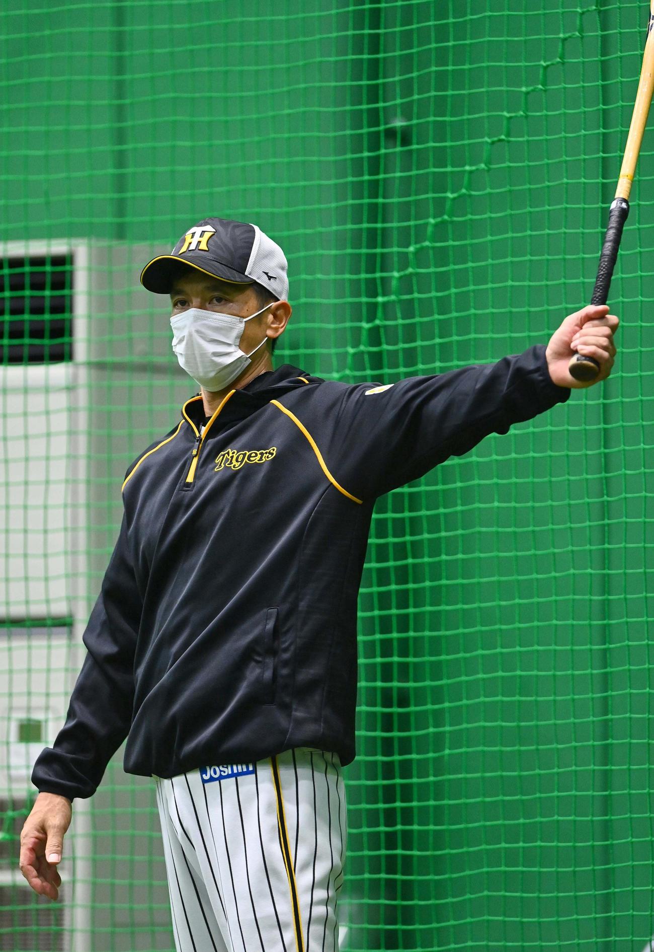 ナインの練習を見守る阪神矢野監督（撮影・上田博志）