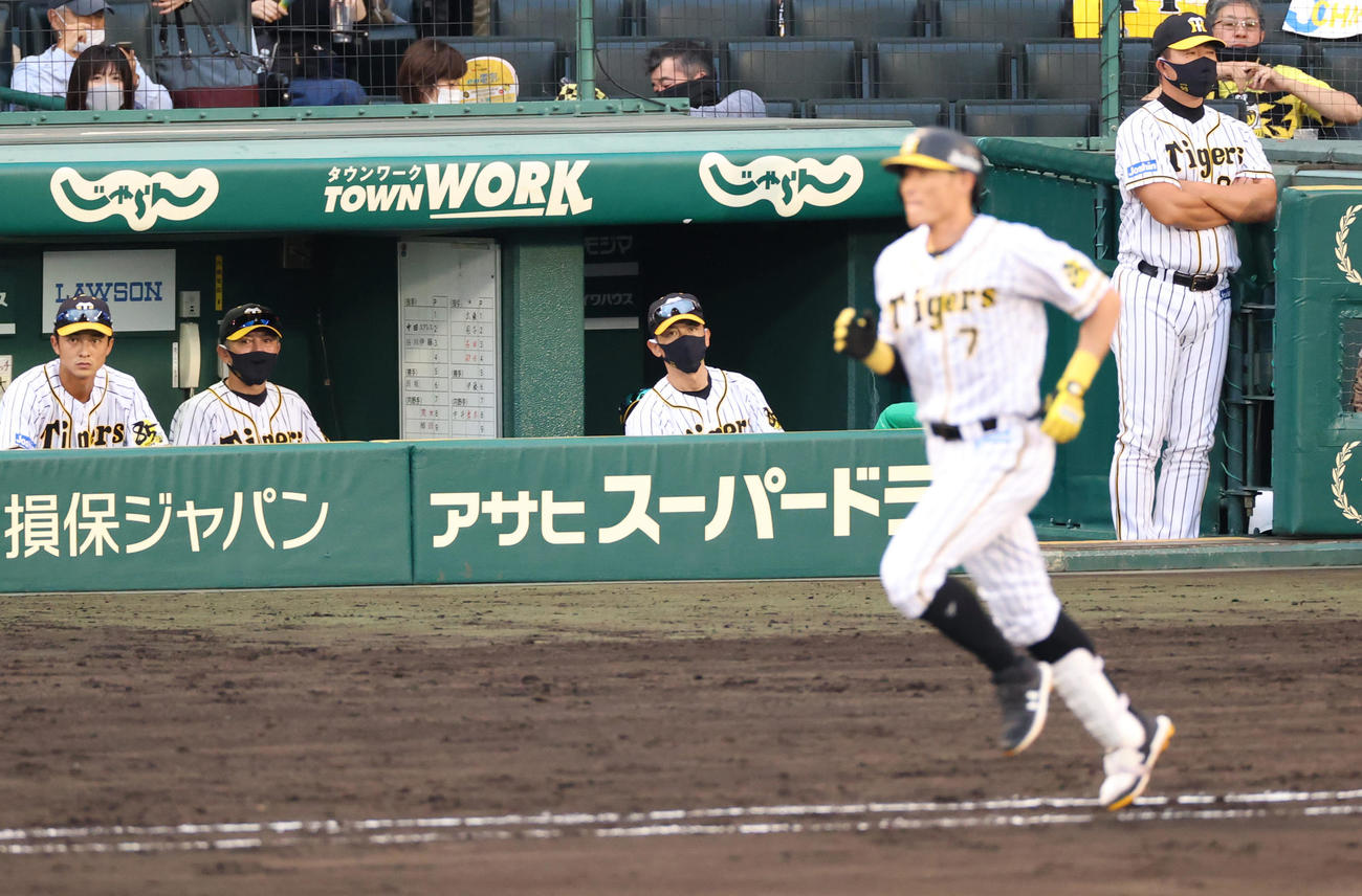 阪神対DeNA　9回裏阪神2死、最後は糸井が二ゴロで試合終了となる、左から3人目は矢野監督（撮影・清水貴仁）