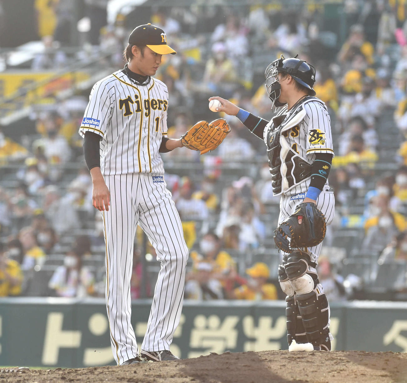 阪神対DeNA20回戦　8回表、阪神4番手として登板し、梅野隆太郎（右）からボールを受け取る藤浪晋太郎（撮影・岩下翔太）