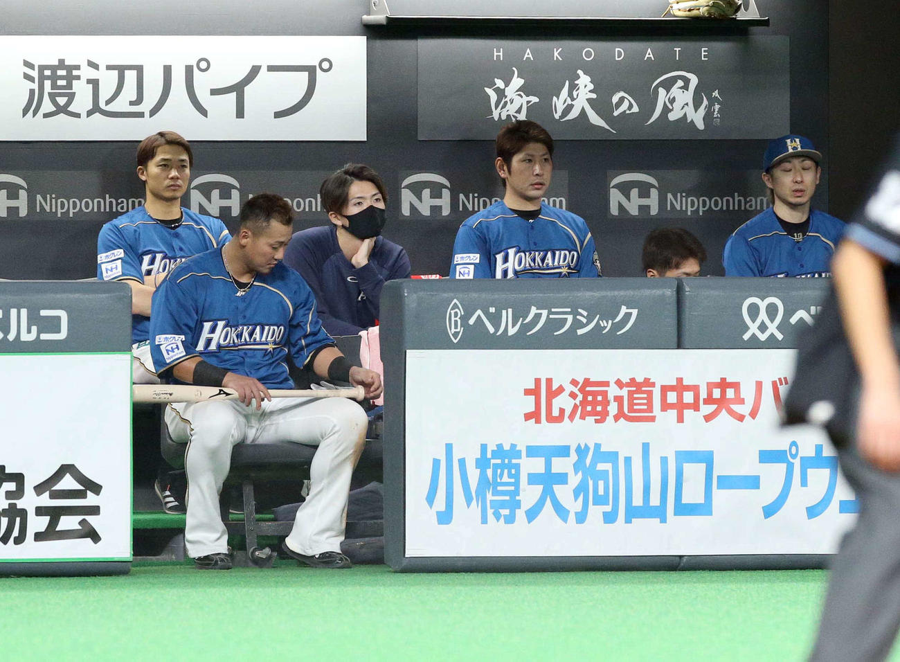 日本ハム対西武　ベンチからグラウンドを見つめる日本ハム上沢（左から3人目）（撮影・佐藤翔太）