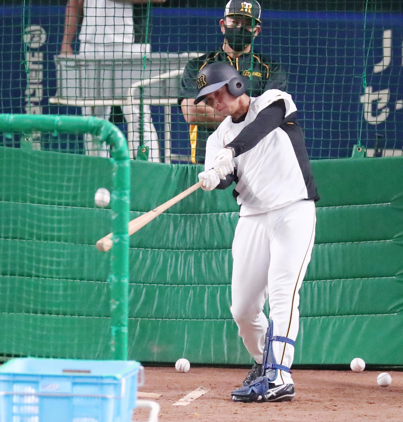 中日対阪神　試合前の打撃練習を行う井上（撮影・加藤哉）