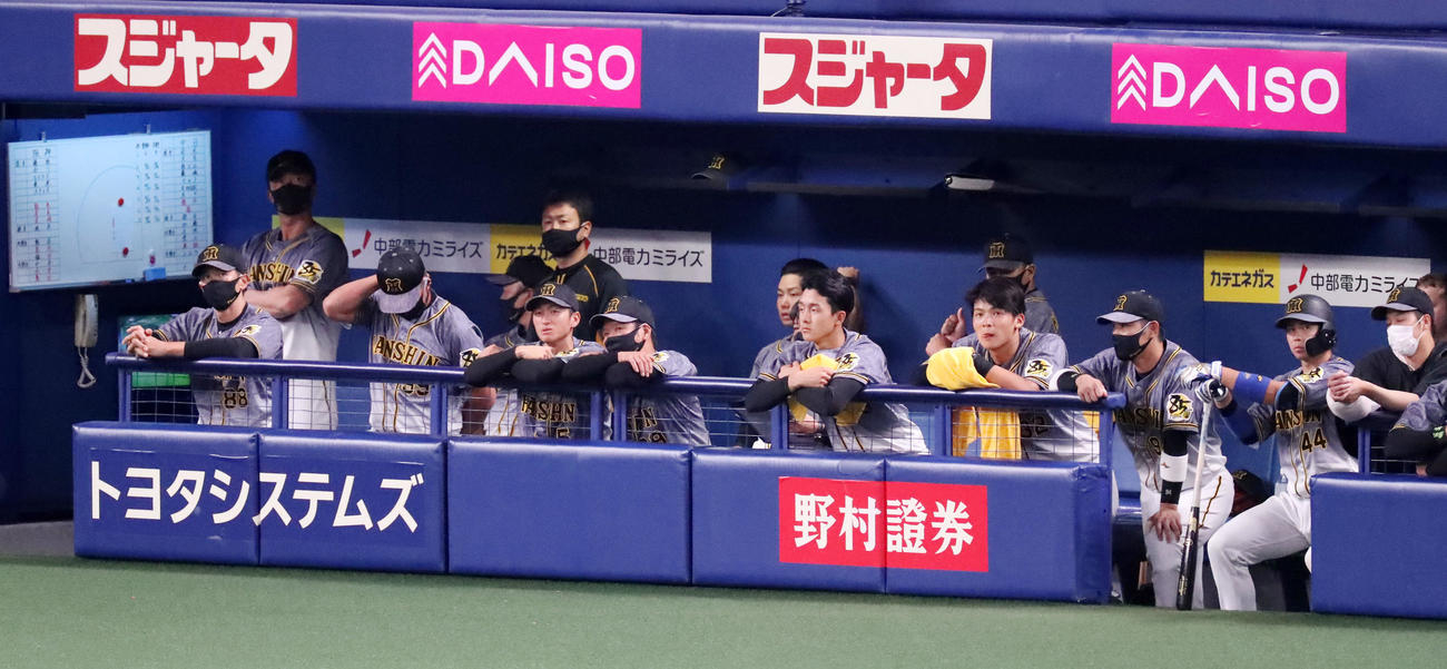 中日対阪神　9回表、ベンチから試合展開を見守る阪神ナイン、左端は矢野監督、右から4人目は井上（撮影・加藤哉）