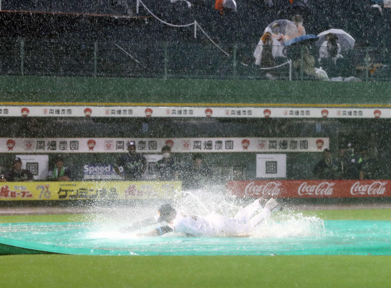 巨人対ヤクルト　試合が中止となり、ヘッドスライディングを披露する巨人岸田（撮影・河野匠）