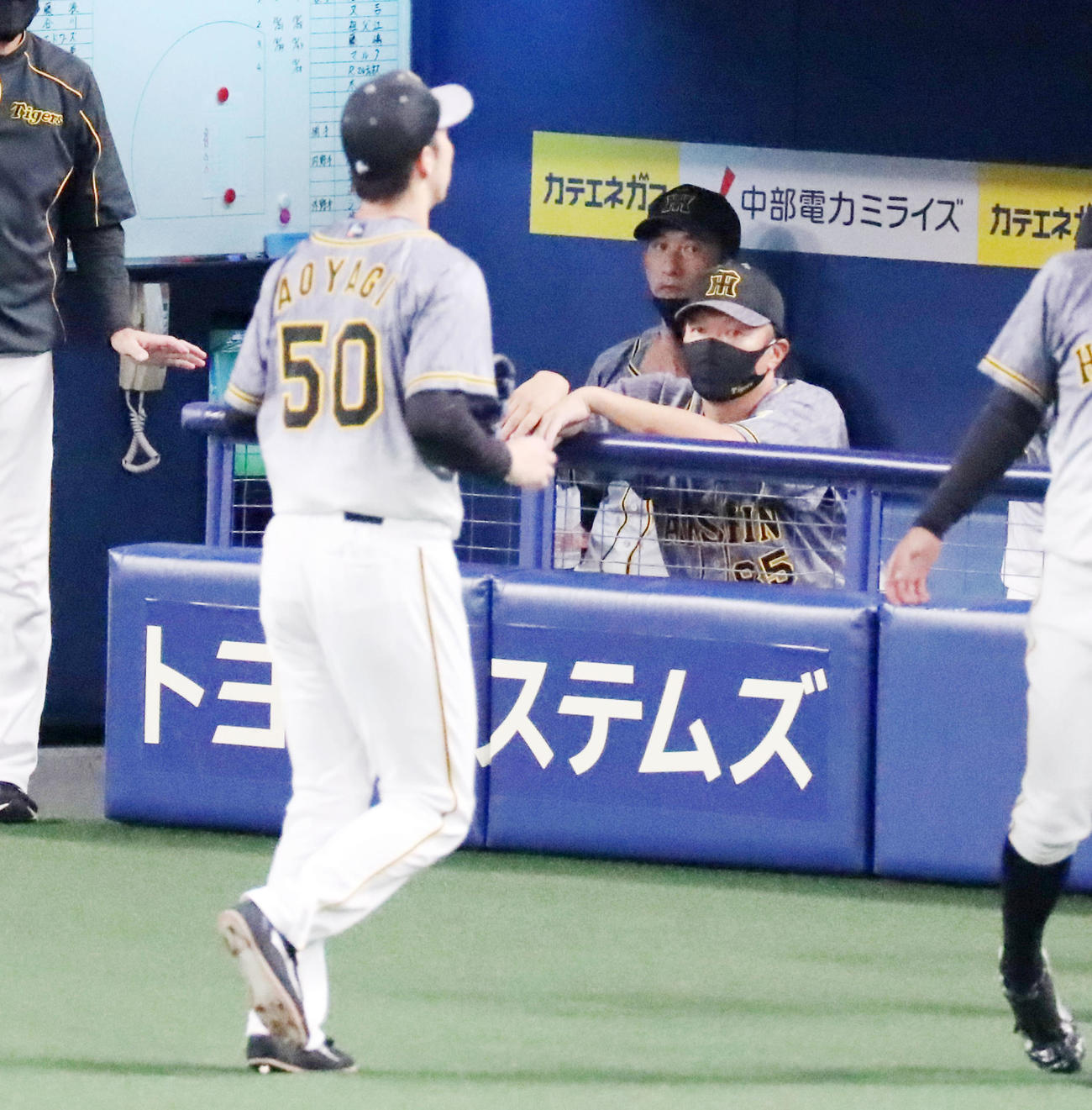 4回裏を終えベンチに座る矢野監督、左は青柳（撮影・加藤哉）
