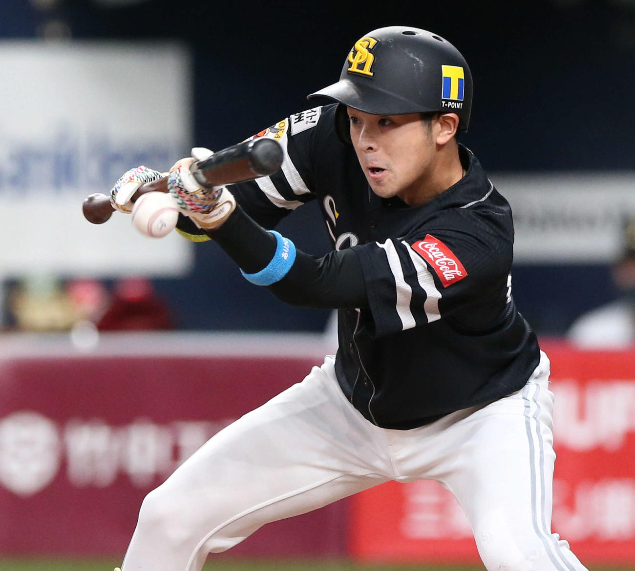 オリックス対ソフトバンク　6回表ソフトバンク無死一、二塁、代打川瀬は送りバントを決める（撮影・上山淳一）