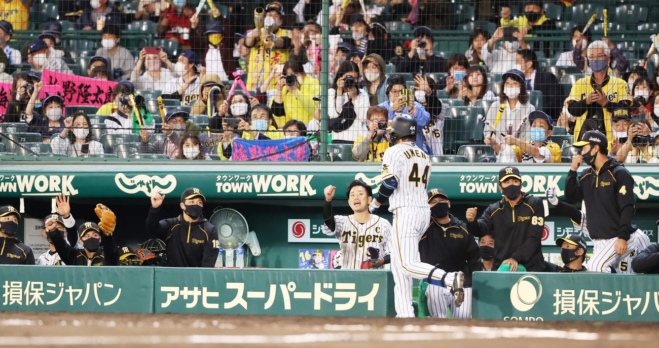 阪神対ヤクルト　6回裏阪神無死、右翼ポール直撃の本塁打を放つ梅野（撮影・清水貴仁）