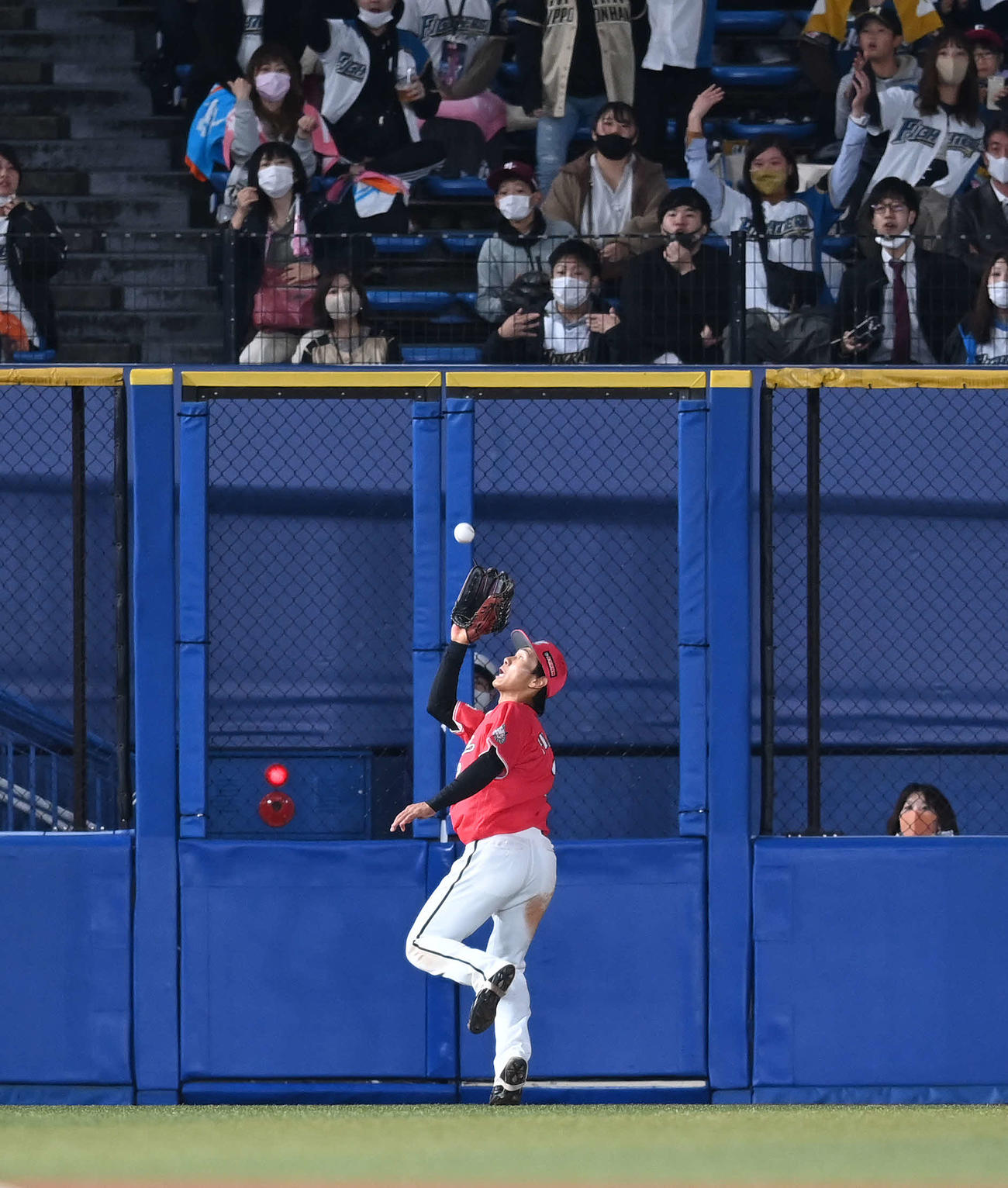 ロッテ対日本ハム　4回表日本ハム2死二塁、宇佐見の打球を好捕する左翼手藤原（撮影・鈴木みどり）