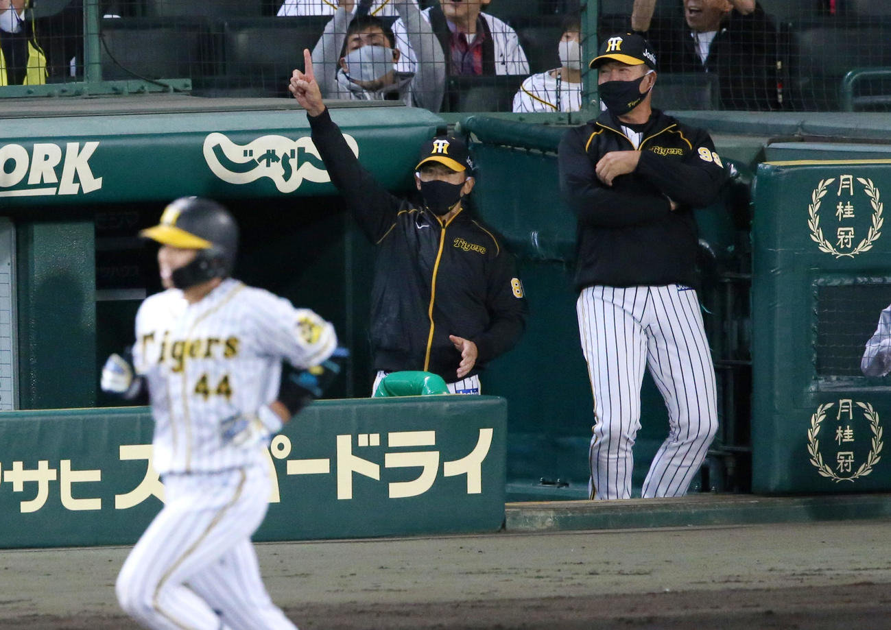 阪神対ヤクルト　6回裏阪神無死、矢野監督（左）は梅野の右越え本塁打に喜ぶ（撮影・上山淳一）