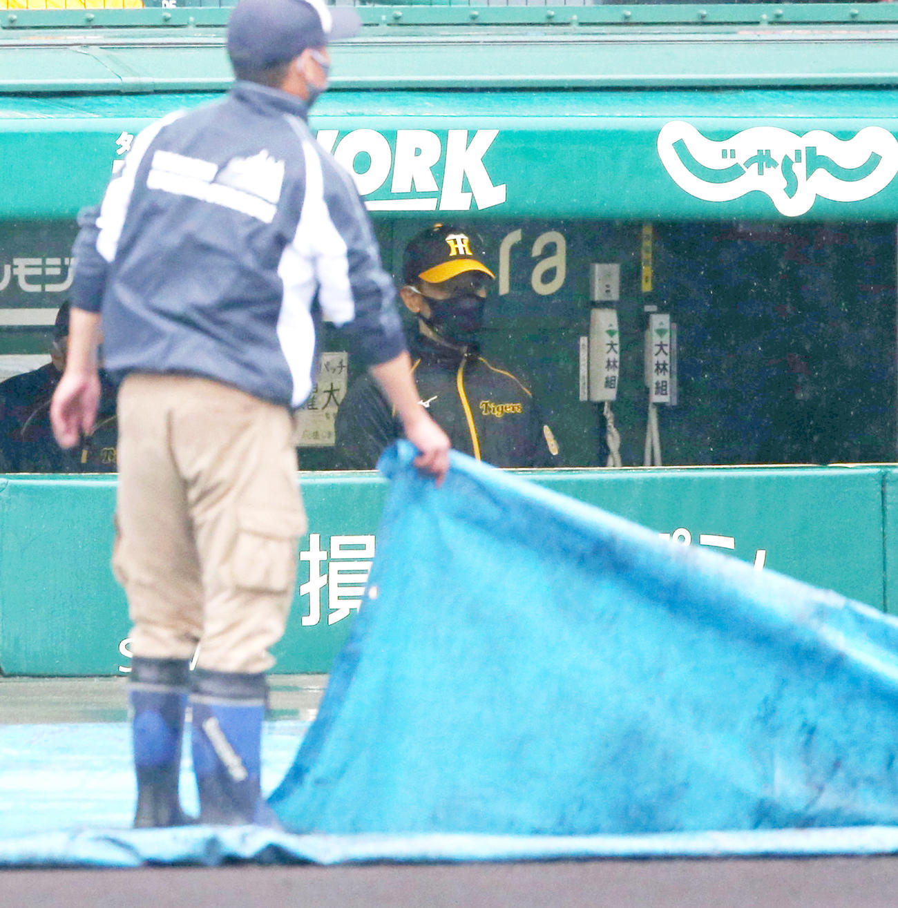 ベンチで試合開始を待つ矢野監督（撮影・上山淳一）