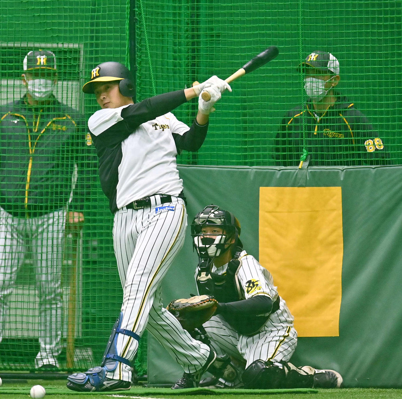 矢野監督（右）と井上コーチのチェックを受けながら打撃練習をする井上（撮影・上田博志）