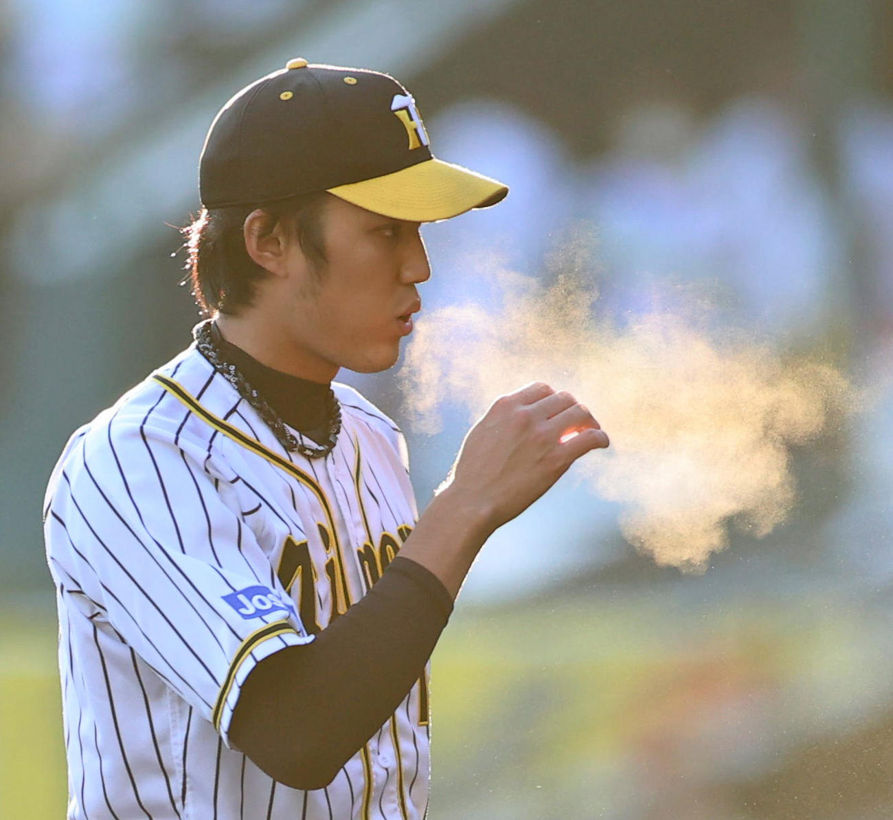 阪神対ヤクルト　6回に登板する藤浪晋太郎（撮影・清水貴仁）