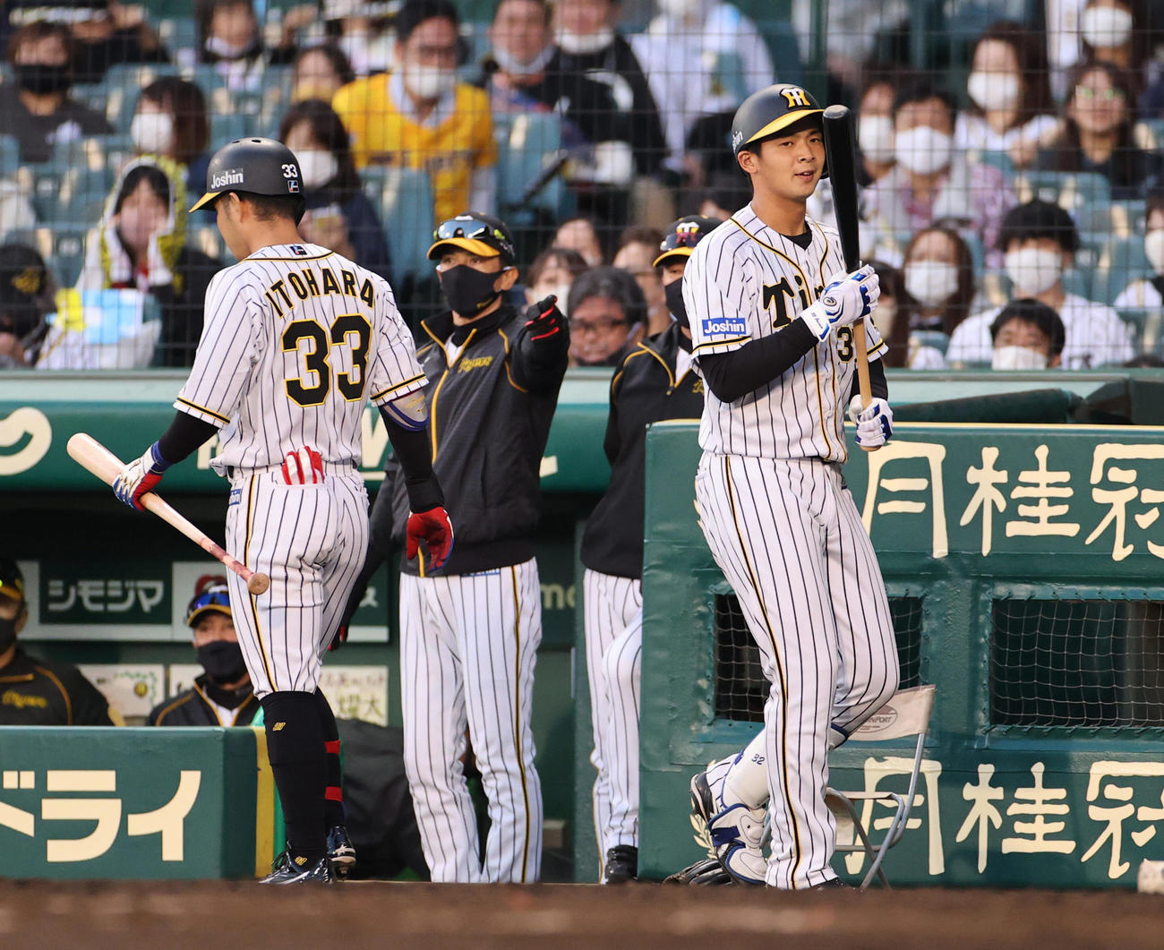 阪神対ヤクルト　7回裏阪神2死一塁、代打で出場する井上広大（右）、中央は矢野耀大監督（撮影・清水貴仁）
