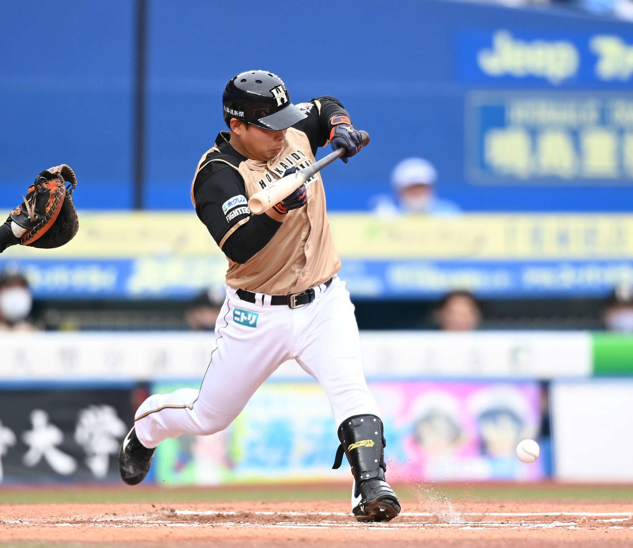 ロッテ対日本ハム　6回表日本ハム無死一、二塁、送りバントを決める樋口（撮影・鈴木みどり）